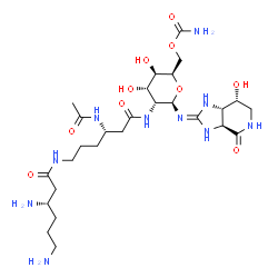 ChemSpider 2D Image | 2-{[(3S)-3-Acetamido-6-{[(3S)-3,6-diaminohexanoyl]amino}hexanoyl]amino}-6-O-carbamoyl-2-deoxy-N-[(3aS,7R,7aS)-7-hydroxy-4-oxo-3a,4,5,6,7,7a-hexahydro-1H-imidazo[4,5-c]pyridin-2-yl]-beta-D-gulopyranosy
lamine | C27H48N10O10