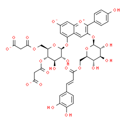 ChemSpider 2D Image | 3-({6-O-[(2E)-3-(3,4-Dihydroxyphenyl)-2-propenoyl]-beta-D-glucopyranosyl}oxy)-2-(4-hydroxyphenyl)-7-oxido-5-chromeniumyl 4,6-bis-O-(carboxylatoacetyl)-beta-D-glucopyranoside | C42H38O24