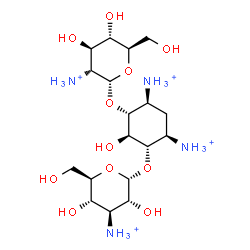 ChemSpider 2D Image | (1R,2S,3S,4R,6S)-4,6-Diammonio-3-[(3-ammonio-3-deoxy-alpha-D-glucopyranosyl)oxy]-2-hydroxycyclohexyl 2-ammonio-2-deoxy-alpha-D-glucopyranoside | C18H40N4O11