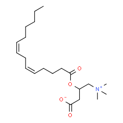 ChemSpider 2D Image | (5Z,8Z)-tetradecadienoylcarnitine | C21H37NO4