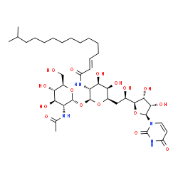 ChemSpider 2D Image | (2E)-N-[(2S,3R,4R,5R,6R)-2-{[(2R,3R,4R,5S,6R)-3-Acetamido-4,5-dihydroxy-6-(hydroxymethyl)tetrahydro-2H-pyran-2-yl]oxy}-6-{(2R)-2-[(2S,3R,4S,5S)-5-(2,4-dioxo-3,4-dihydro-1(2H)-pyrimidinyl)-3,4-dihydrox
ytetrahydro-2-furanyl]-2-hydroxyethyl}-4,5-dihydroxytetrahydro-2H-pyran-3-yl]-14-methyl-2-pentadecenamide | C39H64N4O16