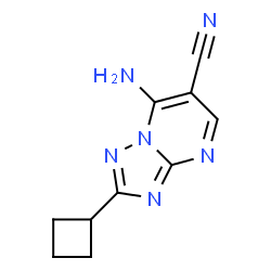 ChemSpider 2D Image | 7-Amino-2-cyclobutyl-[1,2,4]triazolo[1,5-a]pyrimidine-6-carbonitrile | C10H10N6