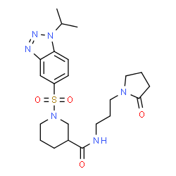 ChemSpider 2D Image | 1-[(1-Isopropyl-1H-benzotriazol-5-yl)sulfonyl]-N-[3-(2-oxo-1-pyrrolidinyl)propyl]-3-piperidinecarboxamide | C22H32N6O4S