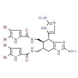 ChemSpider 2D Image | N,N'-{[(4R,5R,6S)-2-Amino-4-(2-amino-1H-imidazol-4-yl)-4,5,6,7-tetrahydro-1H-benzimidazole-5,6-diyl]bis(methylene)}bis(4,5-dibromo-1H-pyrrole-2-carboxamide) | C22H22Br4N10O2