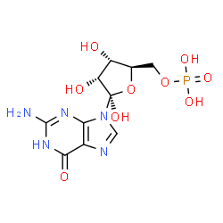 ChemSpider 2D Image | [(2R,3S,4R,5R)-5-(2-Amino-6-oxo-1,6-dihydro-9H-purin-9-yl)-3,4,5-trihydroxytetrahydro-2-furanyl]methyl dihydrogen phosphate | C10H14N5O9P