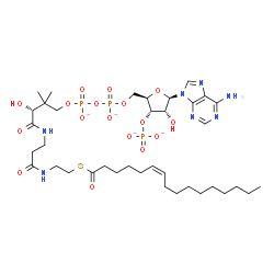ChemSpider 2D Image | Adenosine, 5'-O-[hydroxy[[hydroxy[(3R)-3-hydroxy-2,2-dimethyl-4-oxo-4-[[3-oxo-3-[[2-[[(6Z)-1-oxo-6-hexadecen-1-yl]thio]ethyl]amino]propyl]amino]butoxy]phosphinyl]oxy]phosphinyl]-, 3'-(dihydrogen phosp
hate), ion(4-) | C37H60N7O17P3S