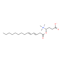 ChemSpider 2D Image | 3, 5-Tetradecadiencarnitine | C21H37NO4