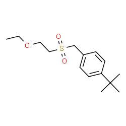 ChemSpider 2D Image | 1-{[(2-Ethoxyethyl)sulfonyl]methyl}-4-(2-methyl-2-propanyl)benzene | C15H24O3S