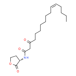ChemSpider 2D Image | (11Z)-3-Oxo-N-[(3S)-2-oxotetrahydro-3-furanyl]-11-hexadecenamide | C20H33NO4