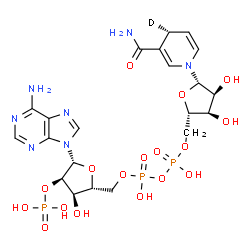 ChemSpider 2D Image | [[(2R,3R,4R,5R)-5-(6-aminopurin-9-yl)-3-hydroxy-4-phosphonooxy-tetrahydrofuran-2-yl]methoxy-hydroxy-phosphoryl] [(2S,3R,4S,5S)-5-[(4S)-3-carbamoyl-4-deuterio-4H-pyridin-1-yl]-3,4-dihydroxy-tetrahydrofuran-2-yl]methyl hydrogen phosphate | C21H29DN7O17P3