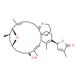 ChemSpider 2D Image | (5S)-5-[(1R,2Z,11R,16S,17Z,19S,22R,24R)-19-Hydroxy-2,15,18,24-tetramethyl-25-oxa-7-azatetracyclo[20.2.1.0~6,11~.0~11,16~]pentacosa-2,6,14,17-tetraen-14-yl]-3-methyl-2(5H)-furanone | C32H45NO4