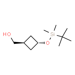 ChemSpider 2D Image | trans-3-[[(1,1-Dimethylethyl)dimethylsilyl]oxy]cyclobutanemethanol | C11H24O2Si