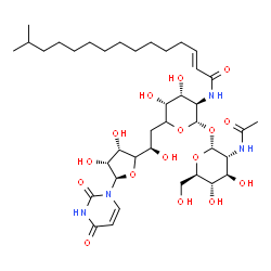 ChemSpider 2D Image | (2E)-N-[(2S,3R,4R,5R)-2-{[(2R,3R,4R,5S,6R)-3-Acetamido-4,5-dihydroxy-6-(hydroxymethyl)tetrahydro-2H-pyran-2-yl]oxy}-6-{(2R)-2-[(3S,4R,5R)-5-(2,4-dioxo-3,4-dihydro-1(2H)-pyrimidinyl)-3,4-dihydroxytetra
hydro-2-furanyl]-2-hydroxyethyl}-4,5-dihydroxytetrahydro-2H-pyran-3-yl]-14-methyl-2-pentadecenamide (non-preferred name) | C39H64N4O16