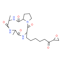ChemSpider 2D Image | 3,6-Dimethyl-9-[6-(2-oxiranyl)-6-oxohexyl]decahydropyrrolo[1,2-a][1,4,7,10]tetraazacyclododecine-1,4,7,10-tetrone | C21H32N4O6