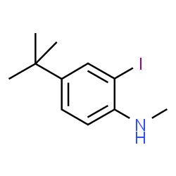 ChemSpider 2D Image | 2-Iodo-N-methyl-4-(2-methyl-2-propanyl)aniline | C11H16IN