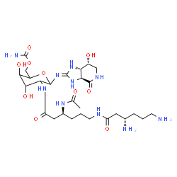 ChemSpider 2D Image | 2-{[(3S)-3-Acetamido-6-{[(3S)-3,6-diaminohexanoyl]amino}hexanoyl]amino}-6-O-carbamoyl-2-deoxy-N-[(3aS,7R,7aS)-7-hydroxy-4-oxooctahydro-2H-imidazo[4,5-c]pyridin-2-ylidene]hexopyranosylamine | C27H48N10O10