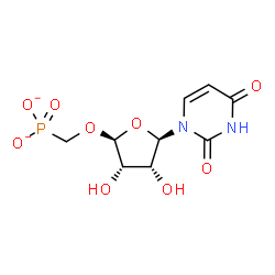 ChemSpider 2D Image | ({[(2R,3S,4R,5R)-5-(2,4-Dioxo-3,4-dihydro-1(2H)-pyrimidinyl)-3,4-dihydroxytetrahydro-2-furanyl]oxy}methyl)phosphonate | C9H11N2O9P