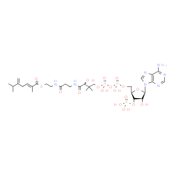 ChemSpider 2D Image | S-{(9R)-1-[(2R,3S,4R,5R)-5-(6-Amino-9H-purin-9-yl)-4-hydroxy-3-(phosphonooxy)tetrahydro-2-furanyl]-3,5,9-trihydroxy-8,8-dimethyl-3,5-dioxido-10,14-dioxo-2,4,6-trioxa-11,15-diaza-3lambda~5~,5lambda~5~-
diphosphaheptadecan-17-yl} (2E)-2,6-dimethyl-5-methylene-2-heptenethioate (non-preferred name) | C31H50N7O17P3S