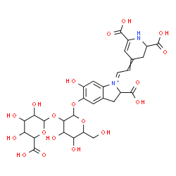 ChemSpider 2D Image | (1E)-2-Carboxy-1-[2-(2,6-dicarboxy-2,3-dihydro-4(1H)-pyridinylidene)ethylidene]-6-hydroxy-2,3-dihydro-1H-indolium-5-yl 2-O-hexopyranuronosylhexopyranoside | C30H35N2O19