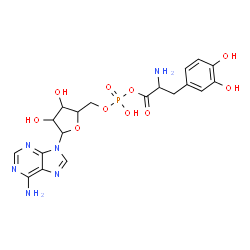 ChemSpider 2D Image | 9-{5-O-[{[2-Amino-3-(3,4-dihydroxyphenyl)propanoyl]oxy}(hydroxy)phosphoryl]pentofuranosyl}-9H-purin-6-amine | C19H23N6O10P