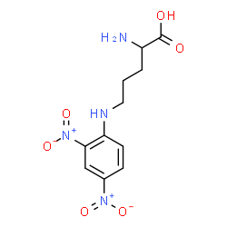 ChemSpider 2D Image | N~5~-(2,4-Dinitrophenyl)ornithine | C11H14N4O6