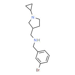 ChemSpider 2D Image | 1-(3-Bromophenyl)-N-[(1-cyclopropyl-3-pyrrolidinyl)methyl]methanamine | C15H21BrN2