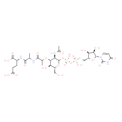 ChemSpider 2D Image | (2R)-2-({2-[(2-{[(3R,4R,5S,6R)-3-Acetamido-2-{[{[{[(2R,3S,4R,5R)-5-(2,4-dioxo-3,4-dihydro-1(2H)-pyrimidinyl)-3,4-dihydroxytetrahydro-2-furanyl]methoxy}(hydroxy)phosphoryl]oxy}(hydroxy)phosphoryl]oxy}-
5-hydroxy-6-(hydroxymethyl)tetrahydro-2H-pyran-4-yl]oxy}propanoyl)amino]propanoyl}amino)pentanedioic acid | C28H43N5O23P2