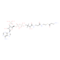 ChemSpider 2D Image | S-{1-[(2R,3S,4R,5R)-5-(6-Amino-9H-purin-9-yl)-4-hydroxy-3-(phosphonooxy)tetrahydro-2-furanyl]-3,5,9-trihydroxy-8,8-dimethyl-3,5-dioxido-10,14-dioxo-2,4,6-trioxa-11,15-diaza-3lambda~5~,5lambda~5~-dipho
sphaheptadecan-17-yl} 3-aminopropanethioate | C24H41N8O17P3S