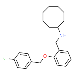 ChemSpider 2D Image | N-{2-[(4-Chlorobenzyl)oxy]benzyl}cyclooctanamine | C22H28ClNO