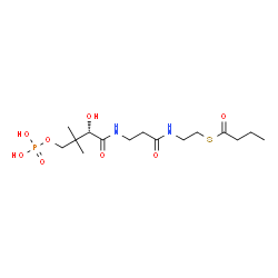 ChemSpider 2D Image | S-[2-({N-[(2S)-2-Hydroxy-3,3-dimethyl-4-(phosphonooxy)butanoyl]-beta-alanyl}amino)ethyl] butanethioate | C15H29N2O8PS