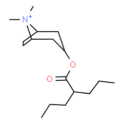 ChemSpider 2D Image | 8,8-Dimethyl-3-[(2-propylpentanoyl)oxy]-8-azoniabicyclo[3.2.1]octane | C17H32NO2