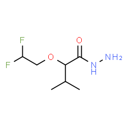 ChemSpider 2D Image | 2-(2,2-Difluoroethoxy)-3-methylbutanehydrazide | C7H14F2N2O2