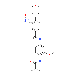 ChemSpider 2D Image | N-[4-(Isobutyrylamino)-3-methoxyphenyl]-4-(4-morpholinyl)-3-nitrobenzamide | C22H26N4O6