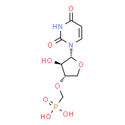 ChemSpider 2D Image | ({[(3S,4R,5R)-5-(2,4-Dioxo-3,4-dihydro-1(2H)-pyrimidinyl)-4-hydroxytetrahydro-3-furanyl]oxy}methyl)phosphonic acid | C9H13N2O8P