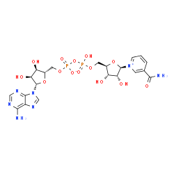 ChemSpider 2D Image | [(2S,3R,4S,5S)-5-(6-aminopurin-9-yl)-3,4-dihydroxy-tetrahydrofuran-2-yl]methyl [[(2R,3S,4R,5R)-5-(3-carbamoylpyridin-1-ium-1-yl)-3,4-dihydroxy-tetrahydrofuran-2-yl]methoxy-hydroxy-phosphoryl] phosphate | C21H27N7O14P2