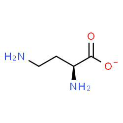 ChemSpider 2D Image | (2S)-2,4-Diaminobutanoate | C4H9N2O2