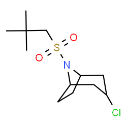 ChemSpider 2D Image | 3-Chloro-8-[(2,2-dimethylpropyl)sulfonyl]-8-azabicyclo[3.2.1]octane | C12H22ClNO2S