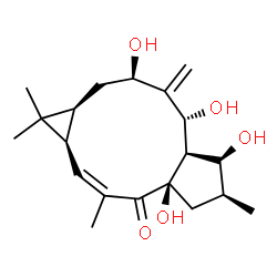 ChemSpider 2D Image | (1aR,2Z,4aR,6S,7S,7aR,8R,10R,11aS)-4a,7,8,10-Tetrahydroxy-1,1,3,6-tetramethyl-9-methylene-1,1a,4a,5,6,7,7a,8,9,10,11,11a-dodecahydro-4H-cyclopenta[a]cyclopropa[f][11]annulen-4-one | C20H30O5