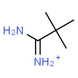 ChemSpider 2D Image | 1-Amino-2,2-dimethyl-1-propaniminium | C5H13N2