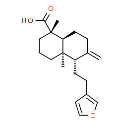 ChemSpider 2D Image | (1S,4aR,5S,8aS)-5-[2-(3-Furyl)ethyl]-1,4a-dimethyl-6-methylenedecahydro-1-naphthalenecarboxylic acid | C20H28O3