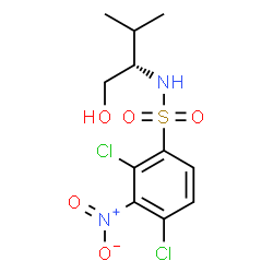 ChemSpider 2D Image | 2,4-Dichloro-N-[(2S)-1-hydroxy-3-methyl-2-butanyl]-3-nitrobenzenesulfonamide | C11H14Cl2N2O5S