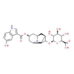 ChemSpider 2D Image | 5'-HYDROXYHYDRODOLASETRON GLUCURONIDE | C25H30N2O10