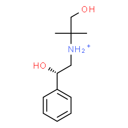 ChemSpider 2D Image | 1-Hydroxy-N-[(2S)-2-hydroxy-2-phenylethyl]-2-methyl-2-propanaminium | C12H20NO2