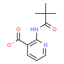 ChemSpider 2D Image | 2-[(2,2-Dimethylpropanoyl)amino]nicotinate | C11H13N2O3