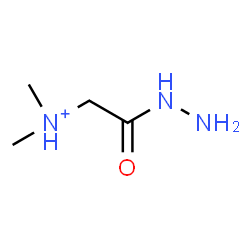 ChemSpider 2D Image | 2-Hydrazino-N,N-dimethyl-2-oxoethanaminium | C4H12N3O