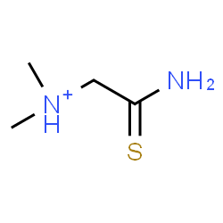 ChemSpider 2D Image | 2-Amino-N,N-dimethyl-2-thioxoethanaminium | C4H11N2S