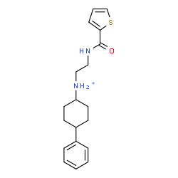 ChemSpider 2D Image | 4-Phenyl-N-{2-[(2-thienylcarbonyl)amino]ethyl}cyclohexanaminium | C19H25N2OS