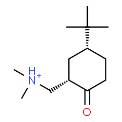 ChemSpider 2D Image | N,N-Dimethyl[(1S,5R)-5-(2-methyl-2-propanyl)-2-oxocyclohexyl]methanaminium | C13H26NO
