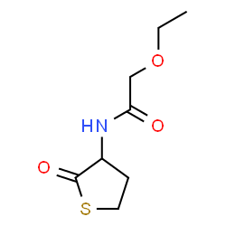 ChemSpider 2D Image | 2-Ethoxy-N-(2-oxotetrahydro-3-thiophenyl)acetamide | C8H13NO3S