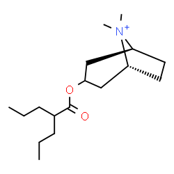 ChemSpider 2D Image | (1R,5S)-8,8-Dimethyl-3-[(2-propylpentanoyl)oxy]-8-azoniabicyclo[3.2.1]octane | C17H32NO2